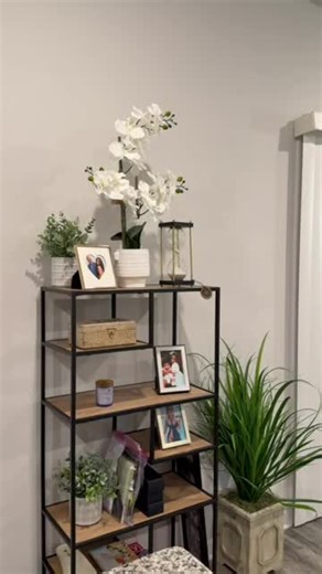 Kountry Wayne's Best Comedy Moments