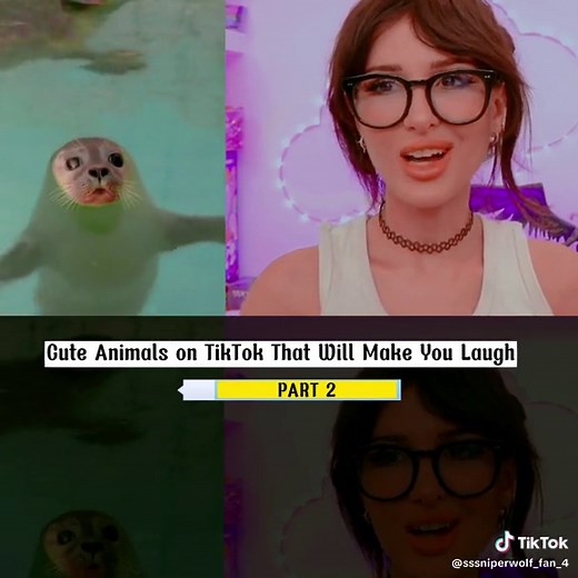 SSSniperWolf_Fan__ on TikTok