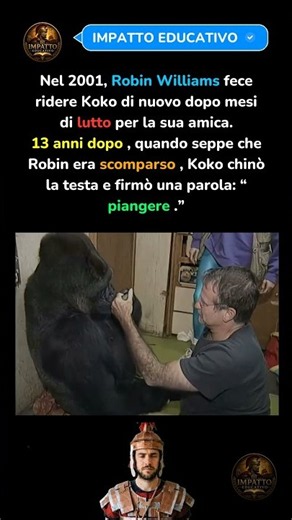 La Storia Incredibile di Koko e Robin Williams