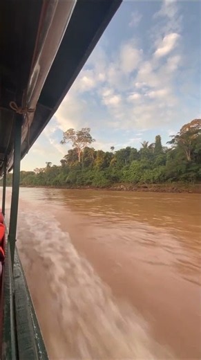 Exploring the Amazon River, Peruvian Jungle, Intrepid Travel from Caitlyn E. 🇵🇪