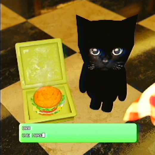 Adorable Cat Begging for a Bite - Cute Cats Compilation