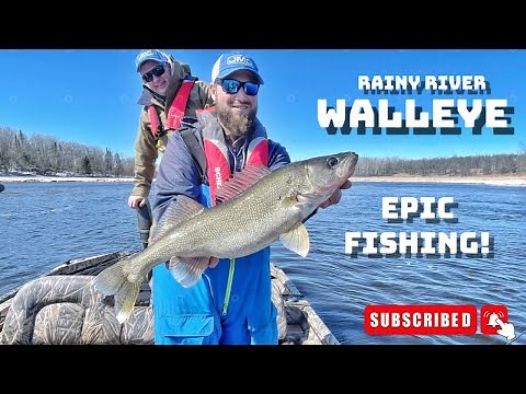 Rainy River Spring Walleye How To
