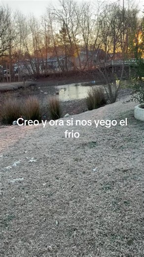 Rancho la slp (@rancho.la.slp)’s videos with La 701 - Panter Bélico