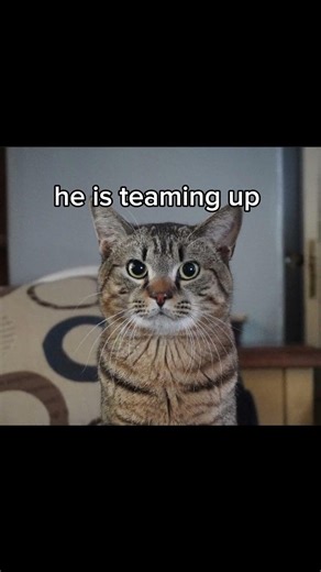 Evil Larry 😈😈... #trending #funny