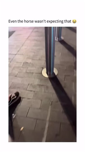 Prime Peak✨ on Instagram: "This video captures a moment of surreal urban performance, highlighting the unexpected intersection of street culture and traditional law enforcement. The Subject The footage features a young male in casual attire performing a “Crip Walk” dance on a public sidewalk at night. He is positioned directly in front of a mounted police officer on a city street. The Mechanism The interaction is driven by the bold juxtaposition of the subject’s rhythmic, fluid dance movements a