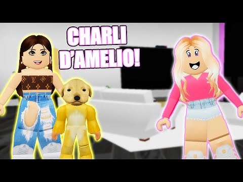 BABYSITTING A FAMOUS PERSON'S PUPPY!! **BROOKHAVEN ROLEPLAY** | JKREW GAMING