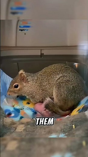 She befriended a squirrel