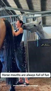 Why Horses Make Strange Noises