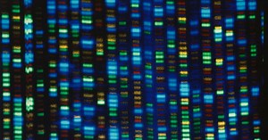 Scientists finally finish decoding entire human genome