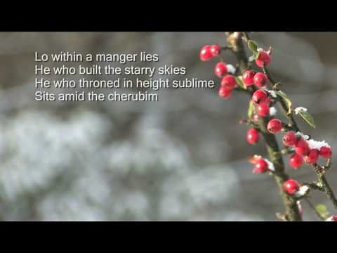 See amid the winters snow