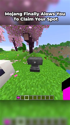 Mojang Finally Allows You To Claim Your Spot #minecraft #shorts