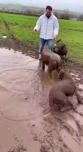 Unexpected Mud Bath! A playful moment turns into a muddy surprise for this man! #fblifestyle #AI Generated using Kling AI . . . (For entertainment purposes only. Consult professionals if guidance on activities is presented. No brand affiliation is implied if any are shown. If inspired by true events, creative adaptations may be included. Content may include public footage.) | Fabiosa UK