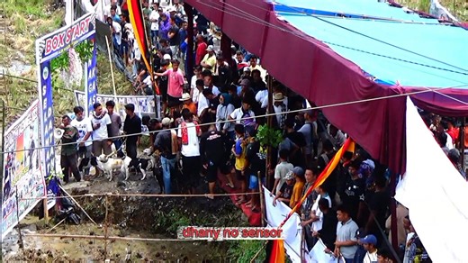 L❤️VE team Padang ‼️ Alek kasang dan satu satu nya team yg tak bosan bosan nya untuk mencapai marawa terakhir 🏆🏆 | Dhany No Sensor