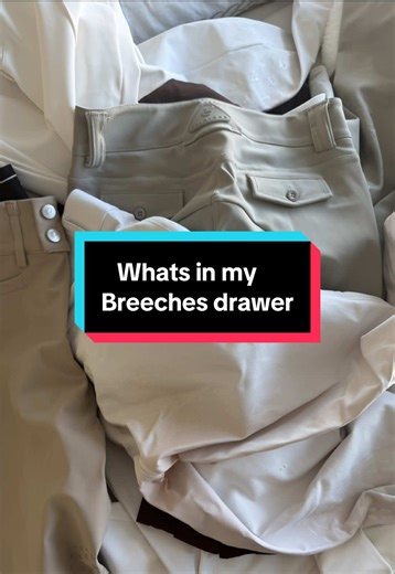 Breeches Drawer Organization for Equestrians