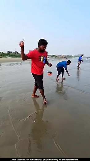 93K views · 157 reactions | This method of catching shellfish on the seashore l #fishing | Cute baby | Facebook