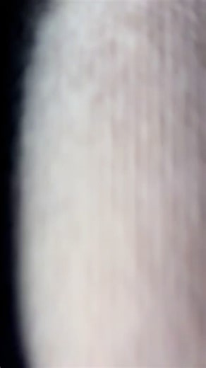 House of Cyn Custom Hats 🪶 (@house_of_cyn)’s videos with original sound - House of Cyn Custom Hats 🪶