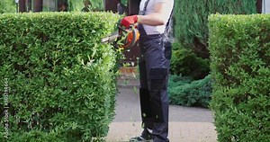 Muscular handyman in grey overall and gloves using electric trimmer for shaping bushes on back yard. Crop view of male worker doing seasonal and manual work outdoors. Concept of working space. Stock Video
