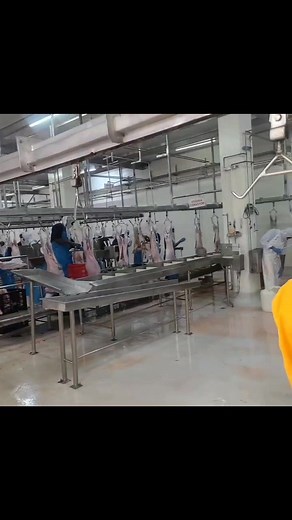 Baringo Goat Meat to the world. Baringo County Government should be encouraged to expedite the launch of Maoi abattoir and clear it as an export meat processing facility. The facility is more than just a slaughter —it’s an economic catalyst. It will link farmers directly to the export markets and more importantly create more opportunities to the youth. | Kevin Kipkosiom