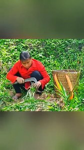 Cải Tạo Nhà Cửa on Reels