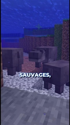 ⏫ Rejoins le Discord en bio ⏫