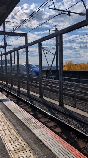 黄葉とE7系新幹線【中浦和駅】