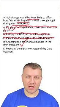 MCQ: Gel Electrophoresis