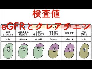 【検査値】eGFRとクレアチニン