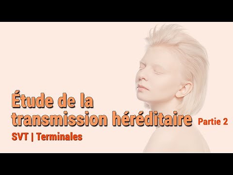 Étude de la transmission héréditaire (Partie 2) | Cas de l'albinisme | Cours en Ligne SVT Terminales