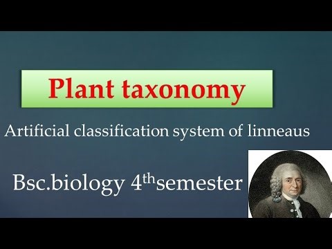 Artificial classification system of linneaus| plant taxonomy|☘️☘️#biology #botanylovers #botany