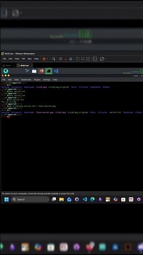 Hide Secret Data Inside Image Using Terminal #Steganography Quick Demo #Linux #CyberSecurity