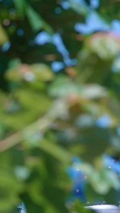 The World’s coming to America and we’re putting Hartford on the map. Hartford City FC is more than a club; it's built by the people, for the people. Be sure to watch the entire official trailer, We Are Hartford on our YouTube channel #OurCityOurTeam #Onward860 #OneLifeToGive | Hartford City FC