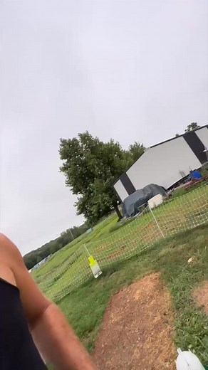 We got our first egg from the Indio Gigante’s : the tallest chickens in the world 📏 #firstegg #indiogigante #tallchickens #chickenwatch #farmerslife #hatchingjoy #backyardpoultry #eggslife #farmingfun #aggressivechickens | White House on the Hill