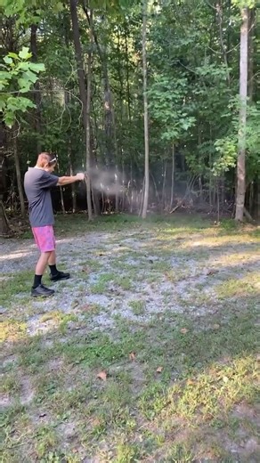 Psa dagger with timney alpha trigger mag dump