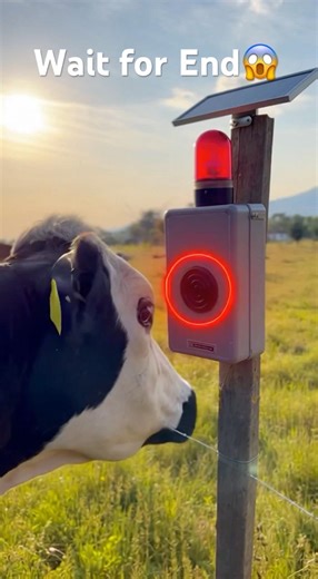 ✅✅ Ek hi Ear Tag se baar-baar use! Refill System ka kamaal dekh lo 😱#shorts #agribusiness #agro