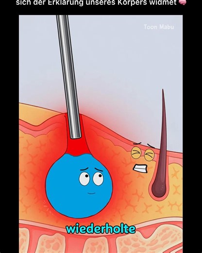 Wir erklären wie unser Körper funktioniert!🧠 on Instagram: "Folge @koerper.erklaert für mehr!🧠"