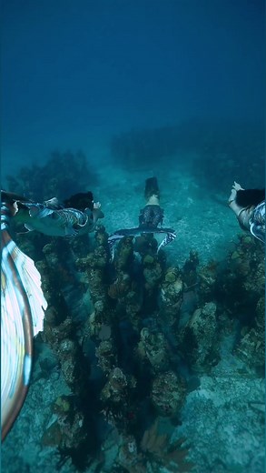 494K views · 10K reactions | Swimming over a lost civilization 隆‍♀️ #mermaid #friendgoals tails by Merbella Studios Inc. with Mermaid Raven and Mermaid Vena | Mermaid Sirenity | Facebook