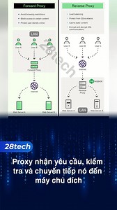 71K views · 739 reactions | Proxy là gì và ứng dụng của nó trong duyệt web. #28tech | 28Tech | Facebook
