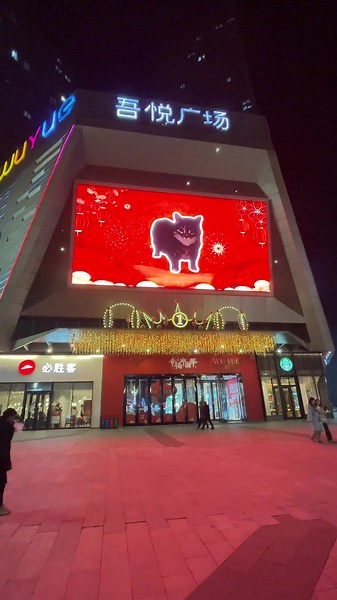 Spinning Cat Meme - Chinese New Year Edition