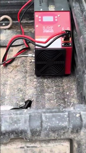 How to Effectively and Efficiently Kill Cedar Trees