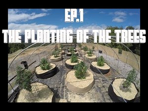 THE MOUNTAIN PROJECT - EP. 1 (The Planting of The Trees)