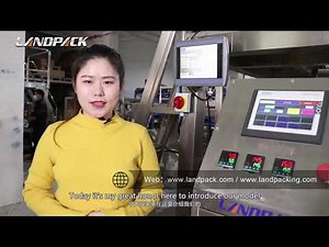 Rita Explains Automatic Rotary Premade Pouch Food Snack Packing Machine Working Process