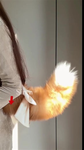 15inch Voice Control Electric Remote Control Tail Super Cute Anime Style Faux Fur for Cosplay Halloween Valentine's Day Carnival Costumes Fun Design Durable Material Basic Minimalist Fashion Womenswear Clothes Essential Rechargeable USB Model Luxury Chris #diywearableblanket #fauxfurcomforter #animeclothing #halloweencostumeideasblackhair #halloweencostumesforpets #petclothes #kitschblackfridaysale #catfurkeychain #madeforpets #microwavablestuffedanimal