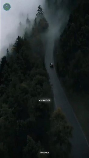 Night Changes - One Direction (Slowed + Reverb) 🌙✨