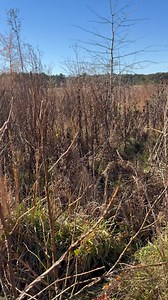 My Favorite Choir! They know all the right tunes and songs to my Heart!!! Sorry For those of you that cant relate to that note 🎵 🎵 🎵!!! Just know it’s a beautiful song! ❤️ ❤️ | Timothy Hamilton