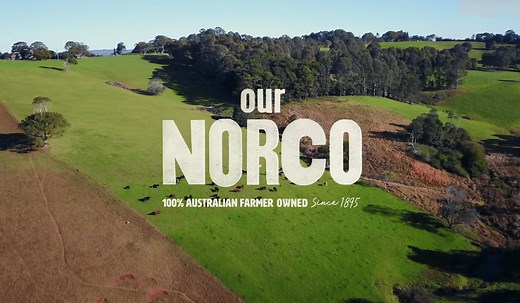 Our Story - Norco Foods