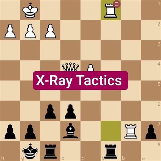Chess.Sense of Danger.X-Ray Mate.