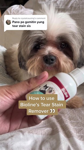 How to Use Bioline’s Tear Stain Remover 👀
