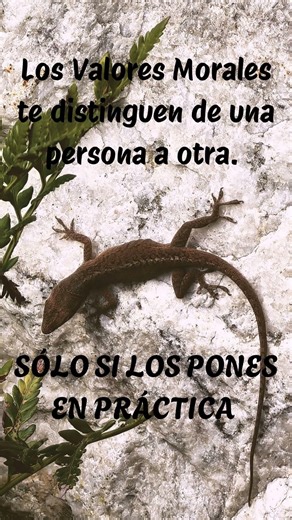 Los Valores Morales te distinguen de una persona a otra persona. Sólo si los pones en práctica.