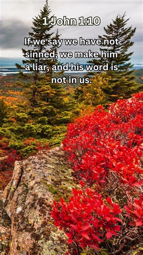 Jesus Saves | 1 John 1:10 Daily Bible Verse