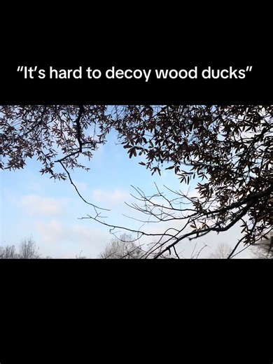 #timberflightgametotes #ducktote #thebigwoodsonthetrinity